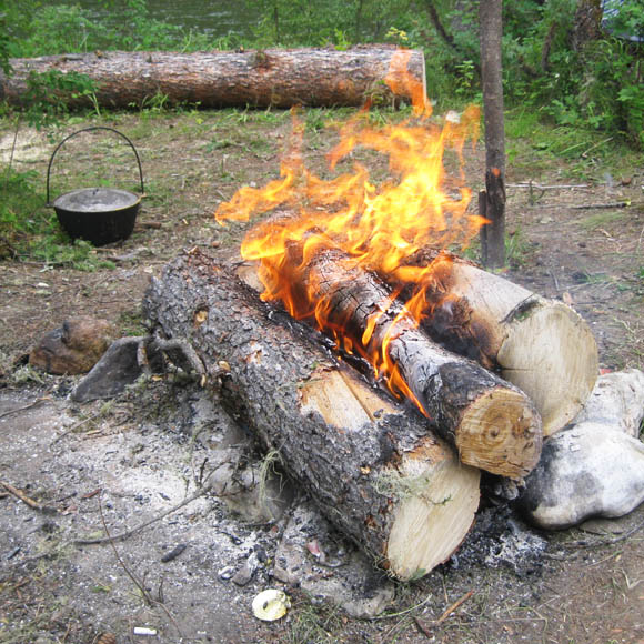 6 Steps 2 A Longer Life