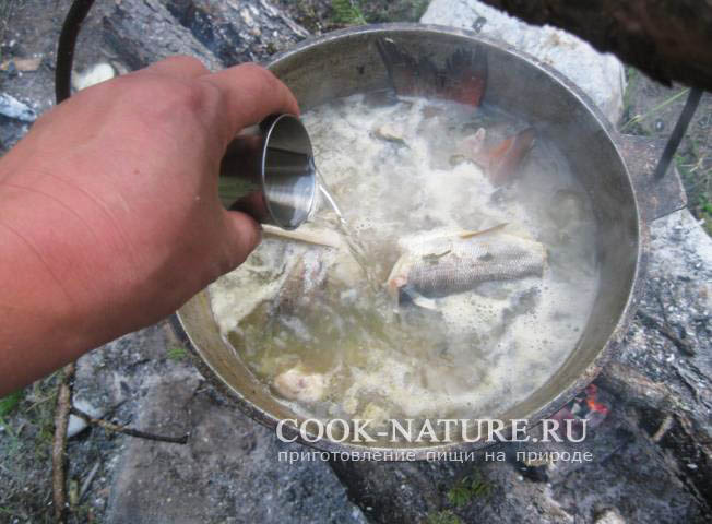 уха из хариуса