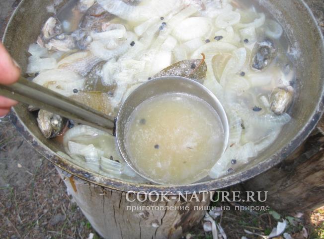 уха из хариуса