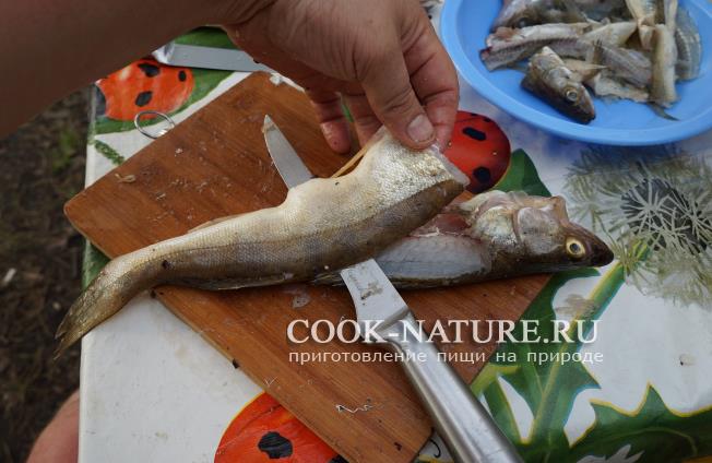 Судак в кляре рецепт судака в кляре