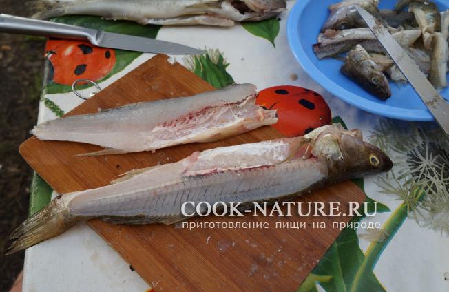 Судак в кляре рецепт судака в кляре