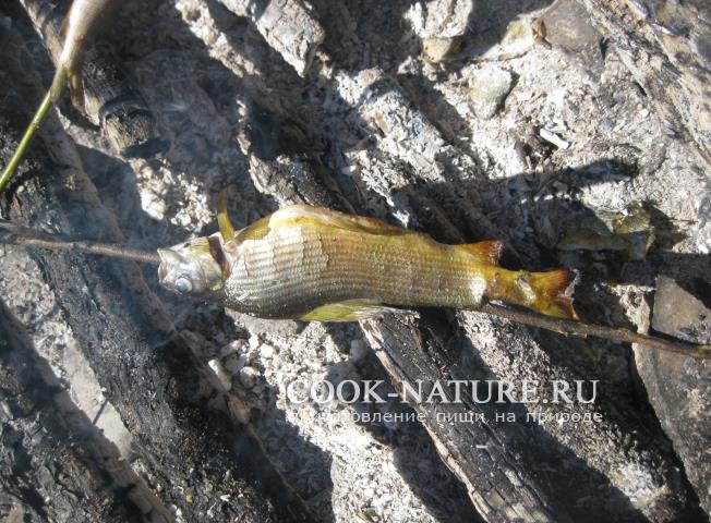 рецепт хариус
