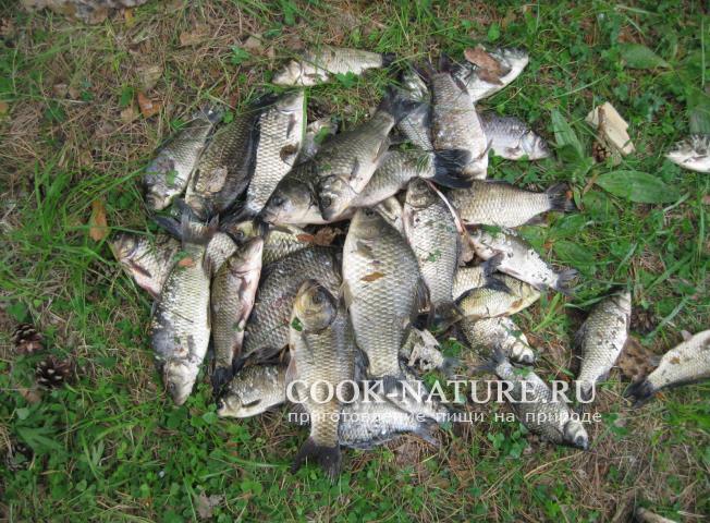 Караси жареные карась рецепт