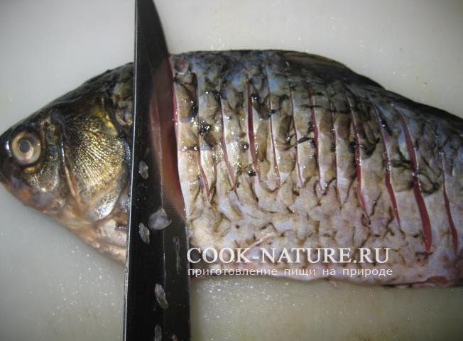 Караси жареные жареный карась