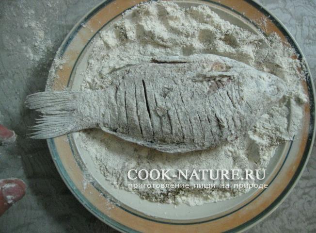 Караси жареные жареный карась