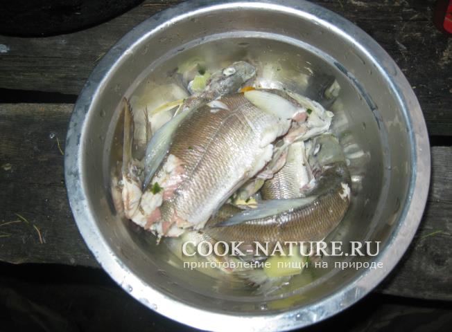 рецепт рыбного супа