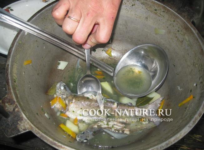 рецепт рыбного супа