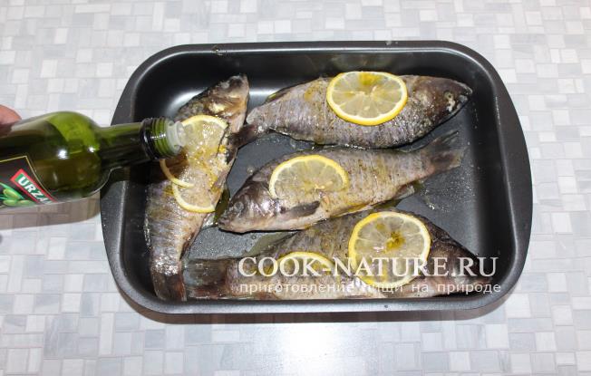 Сазаны запеченные сазан запеченный в духовке