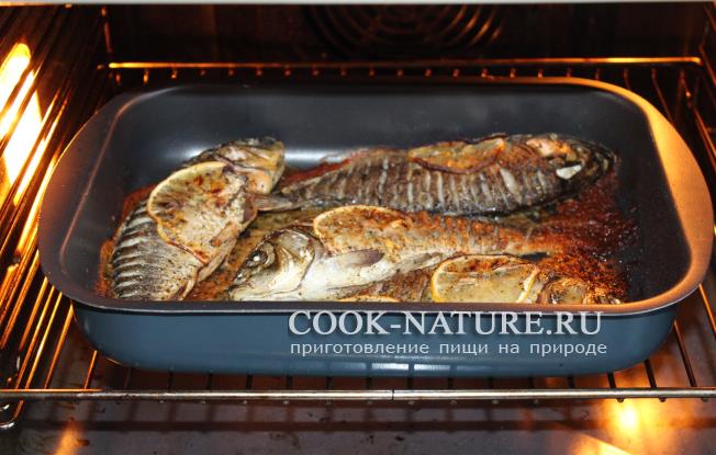 Сазаны запеченные сазан запеченный в духовке