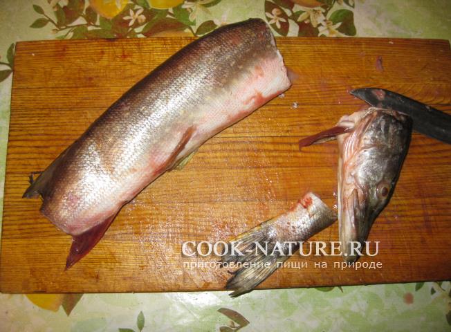 щука рецепты
