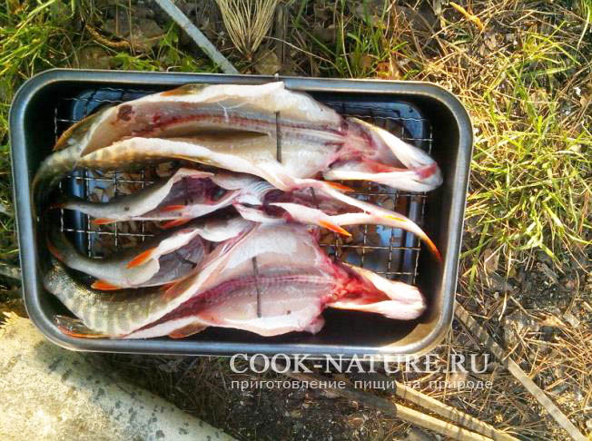 копченая щука рецепт
