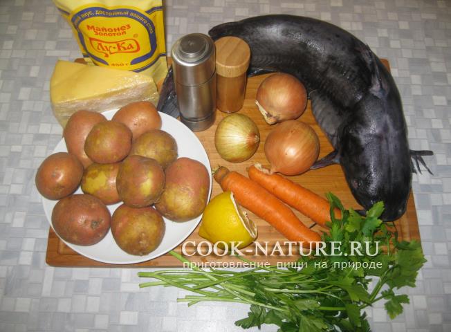 блюда из сома