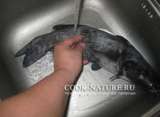блюда из сома