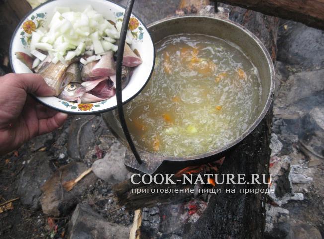 рецепт рыбного супа