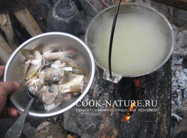 рецепт рыбного супа