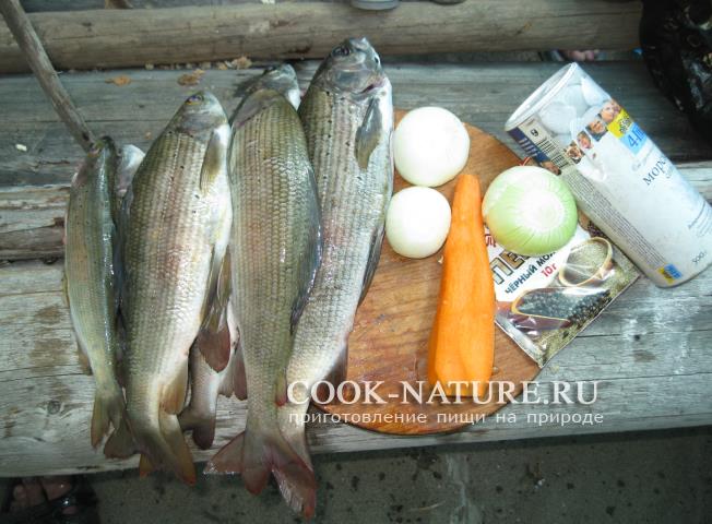 Уха из хариуса рецепт хариус