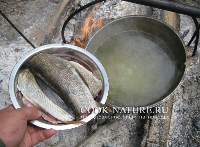 Уха из хариуса рецепт хариус