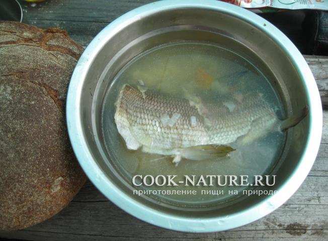 Уха из хариуса рецепт хариус