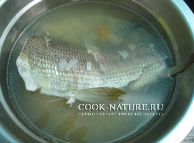 Уха из хариуса рецепт хариус