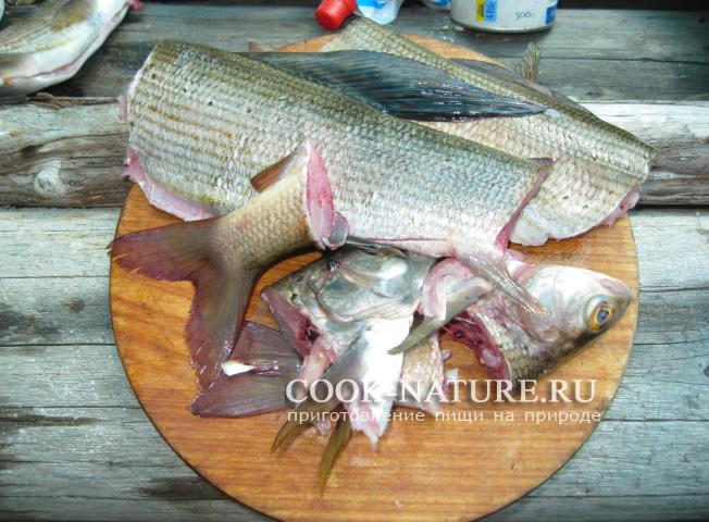 Уха из хариуса рецепт хариус