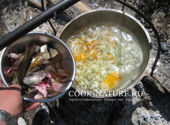 Уха из хариуса рецепт хариус