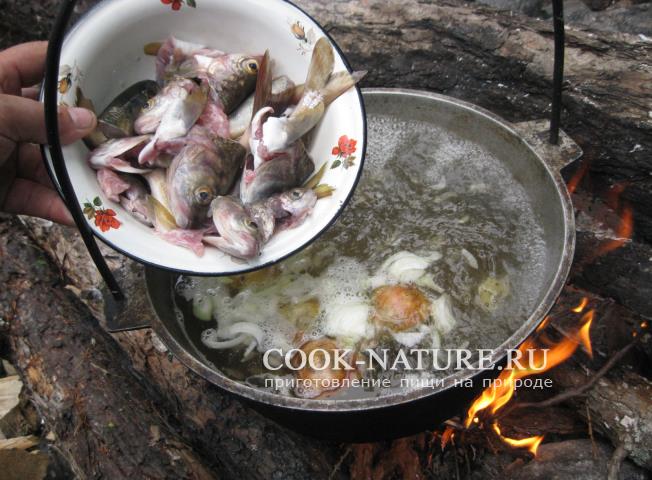 Хариус рецепт