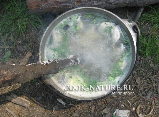 рецепт ухи из окуня