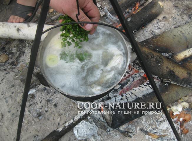 рецепт ухи из окуня