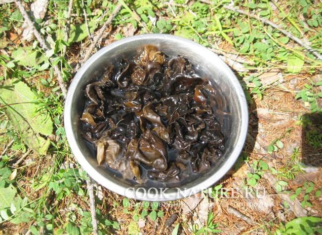 Рыба в кисло-сладком соусе как приготовить рыбу в кисло сладком соусе