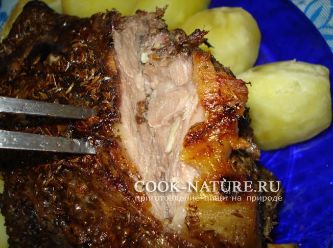 мясо бобра рецепт