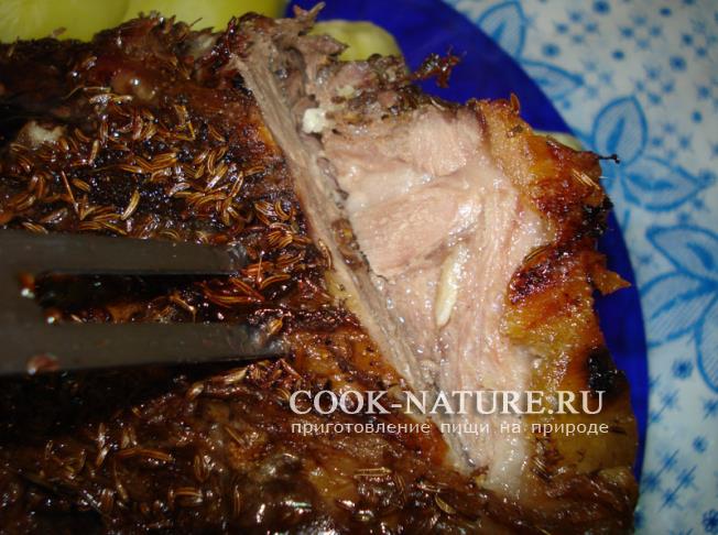 мясо бобра рецепт
