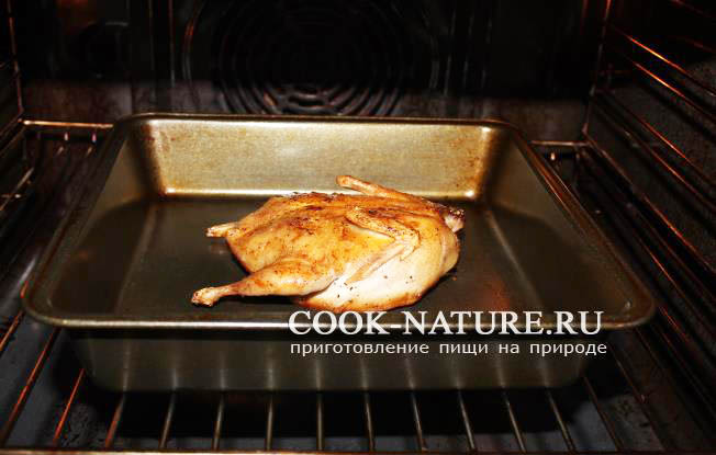 рецепт перепелки