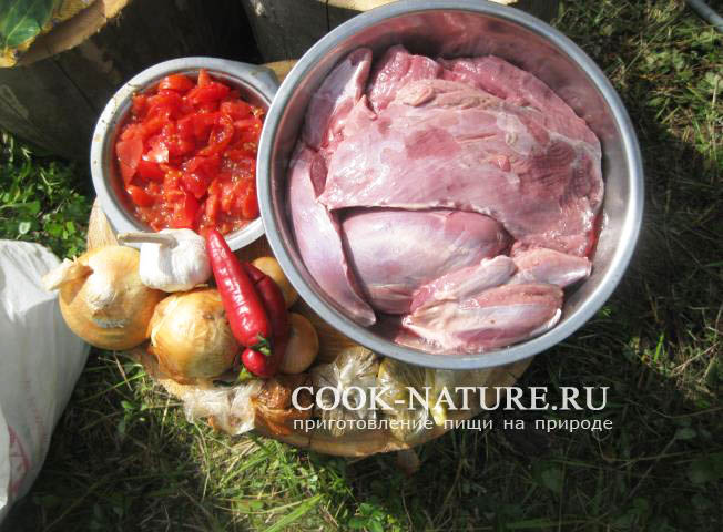 шашлык из дичи