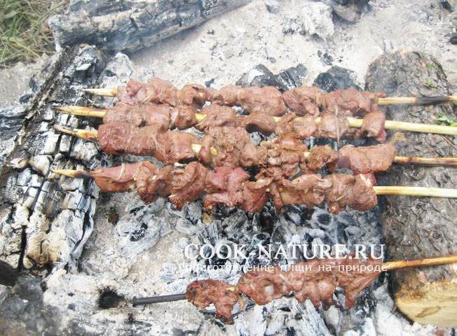 шашлык из дичи