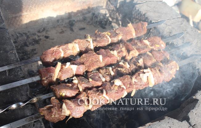 шашлык из лосятины рецепт