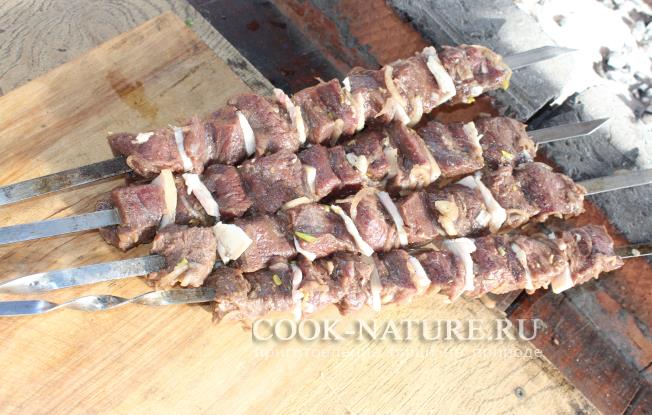 шашлык из лосятины рецепт