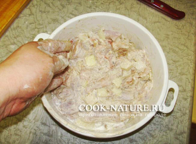 рецепт шашлыка из кролика