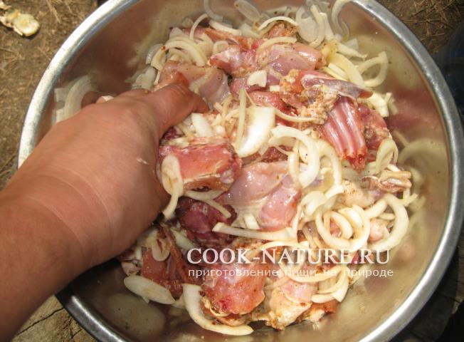 шашлык из кролика