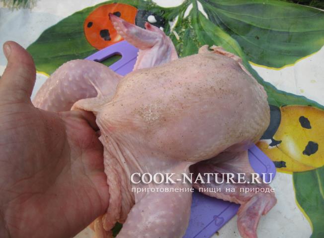 Курица на вертеле рецепт курицы на вертеле