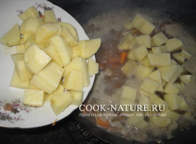 тушеная курица