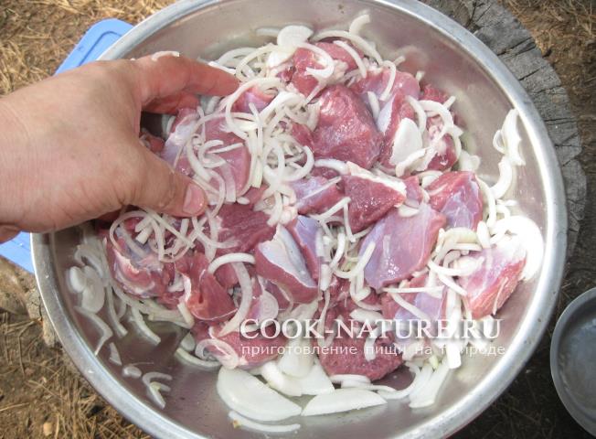 рецепт шашлыка из баранины