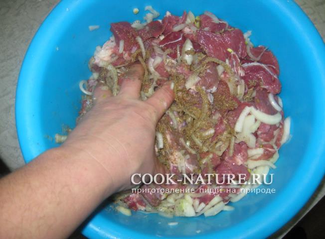 рецепт шашлыка из говядины
