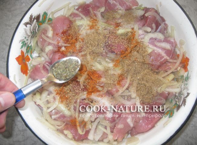 рецепт шашлыка из свинины