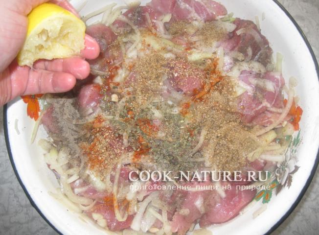 рецепт шашлыка из свинины