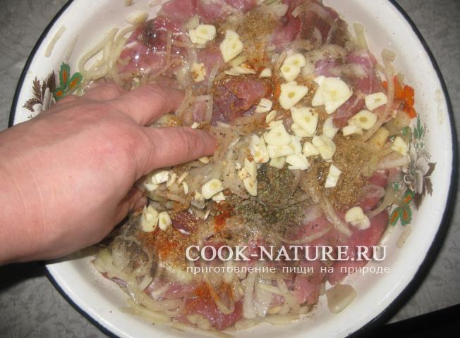 рецепт шашлыка из свинины