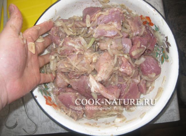 рецепт шашлыка из свинины