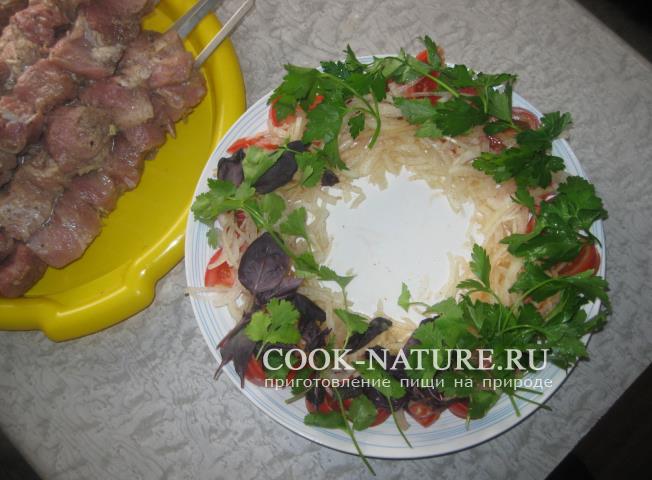 рецепт шашлыка из свинины