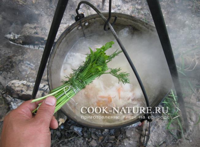 рецепт шурпы из курицы