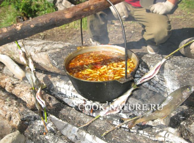 рецепт борща с грибами